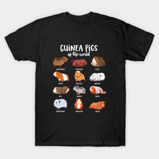 Cartoon guinea pigs - Type of Guinea pigs T-Shirt